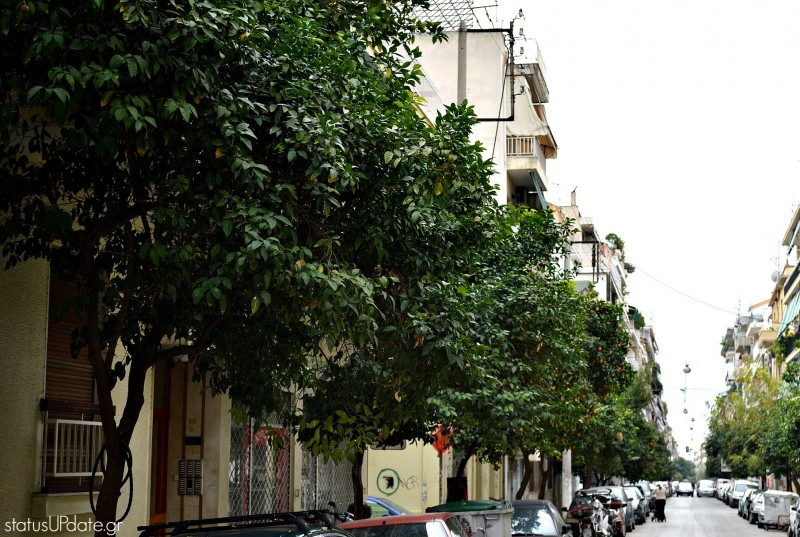 νεραντζια 4